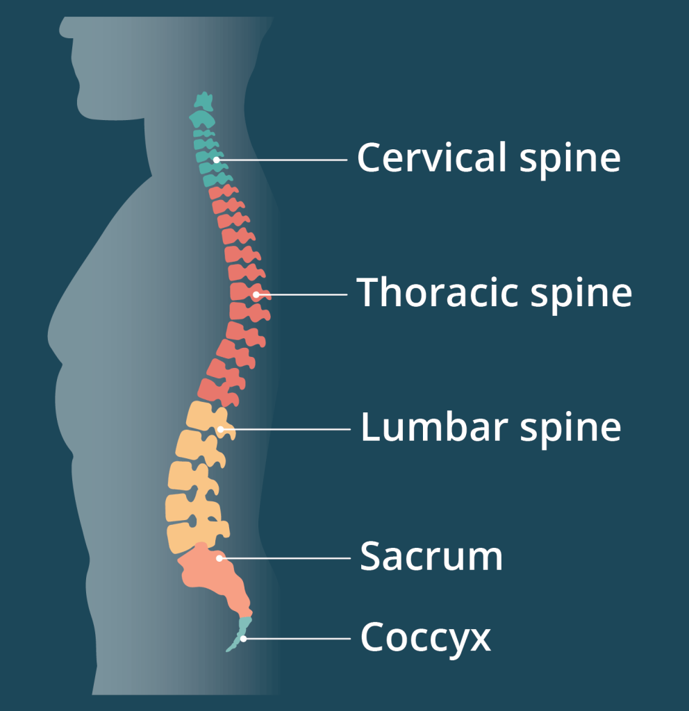 Spine Relief