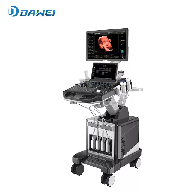 3D Ultrasound