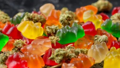 Photo of CBD Gummies UK: A Tasty and Stress-Free Way to Incorporate CBD